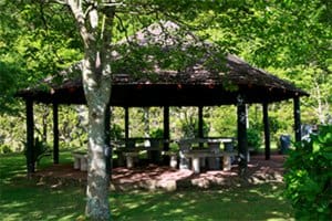 Budowa domu pergola