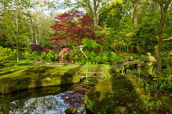 ogrod naturalistyczny