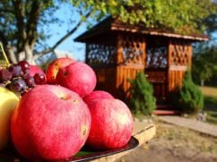 Budowa altany ogrodowej [krok po kroku]