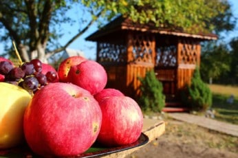 Altany ogrodowe koszt i budowa krok po kroku