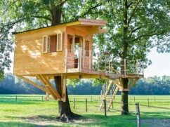 Domek na drzewie: jak zbudować i ile kosztują domki na drzewie?
