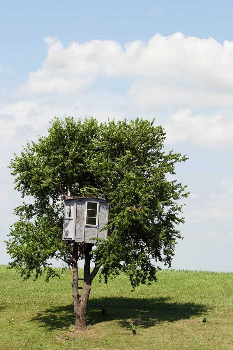 قیمت Treehouse