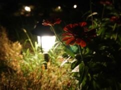 Lampy ogrodowe: rodzaje, ceny i montaż oświetlenia ogrodowego