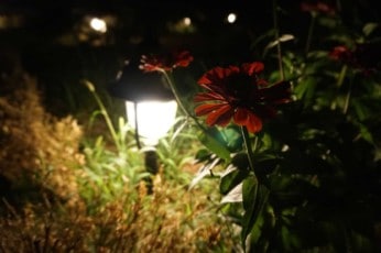 Lampy ogrodowe