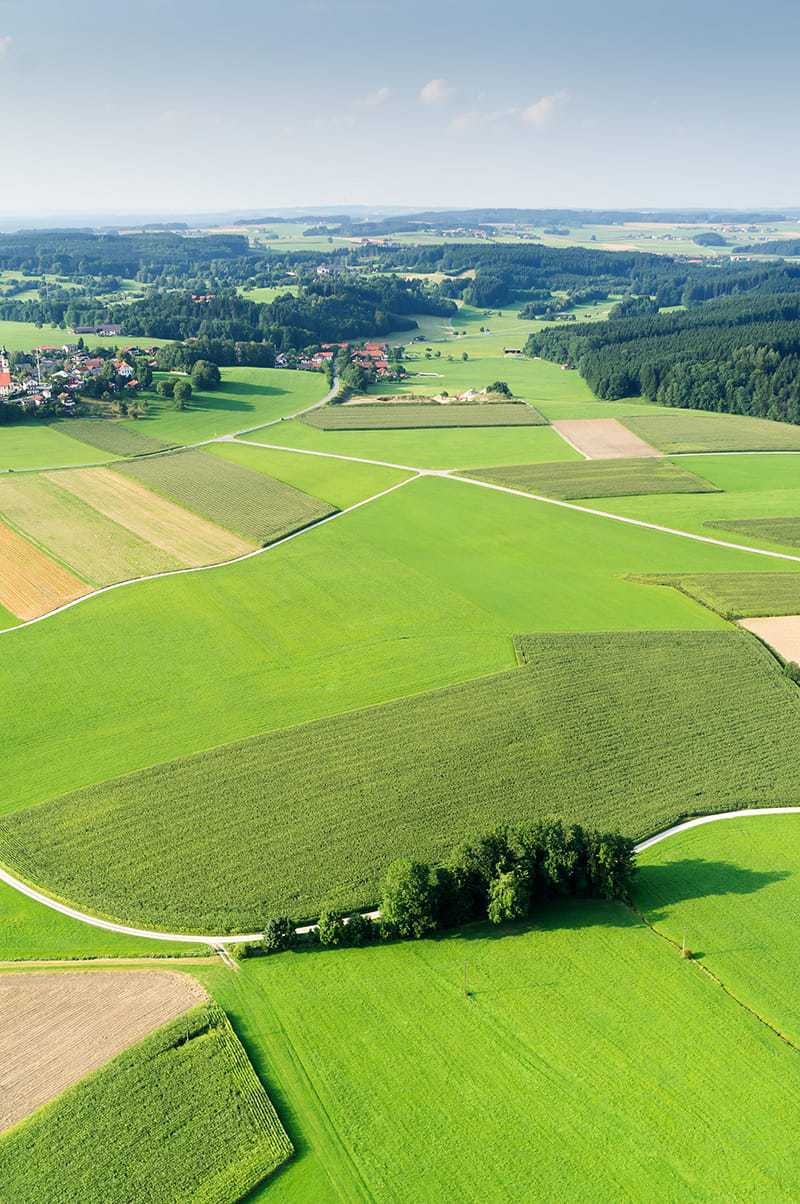 siedlisko Działka siedliskowa