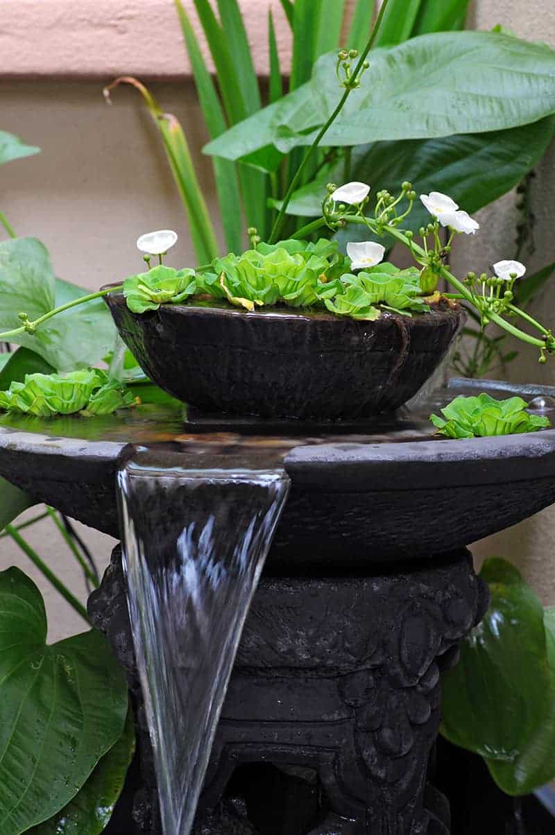 feng shui Zasady Feng shui w ogrodzie