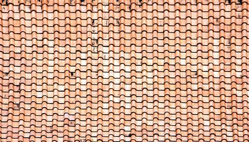 romańska Właściwości i parametry