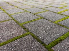 Płyty chodnikowe: cena, parametry, układanie [krok po kroku