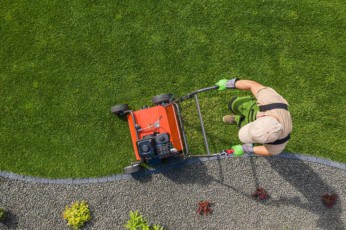 Aerator