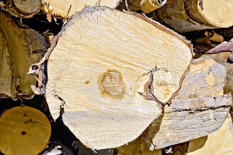 łuparka Co to jest łuparka do drewna