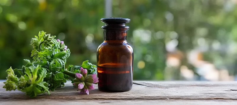 oprysk Naturalne odstraszacie kleszczy