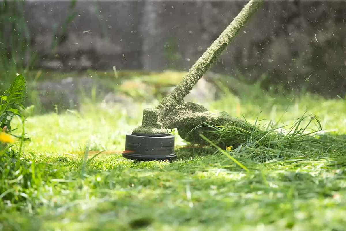 podkaszarka Podkaszarka spalinowa – co warto wiedzieć o modelach z głowicą żyłkową?