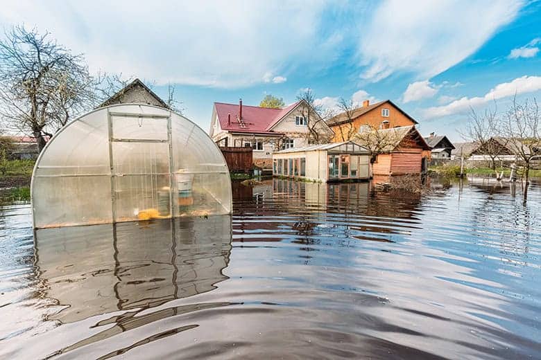 Co to jest osuszanie budynków?