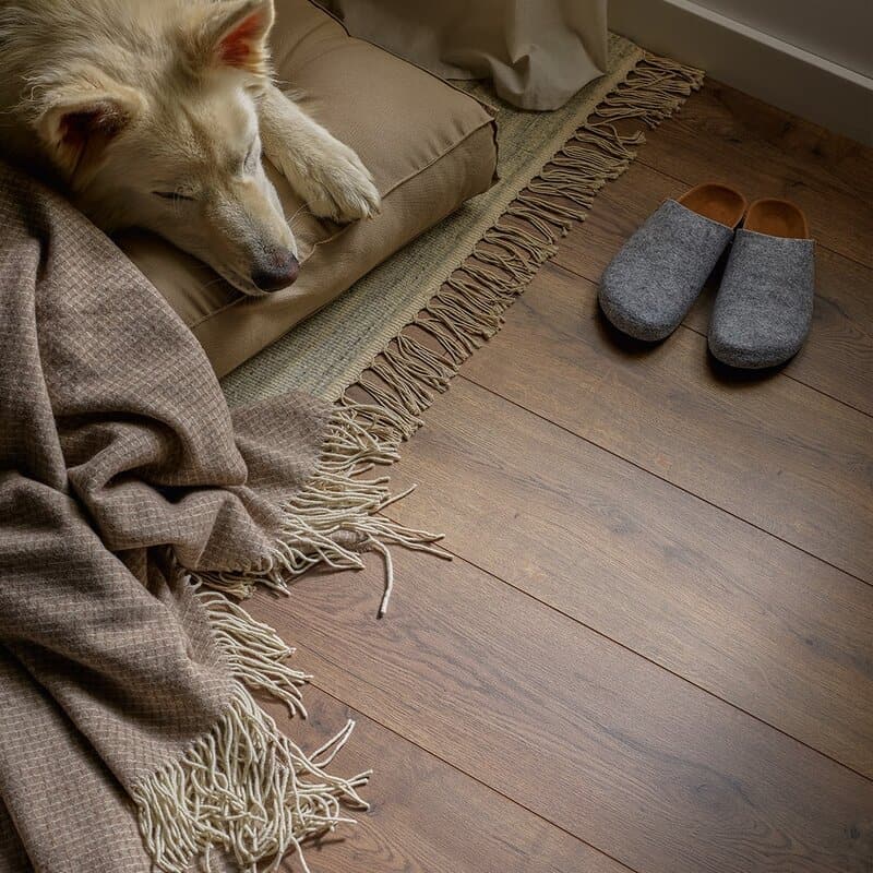 Panele podłogowe – jakie wybrać w 2025/2026 roku, żeby były trwałe i modne? | BLOG BUDOWLANY