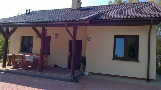 Biedronka (21)