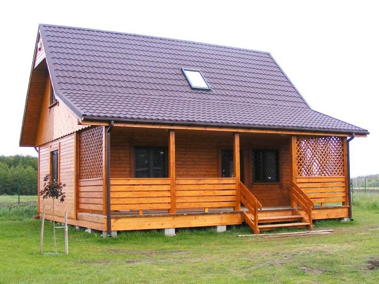 Przepiórka (80)