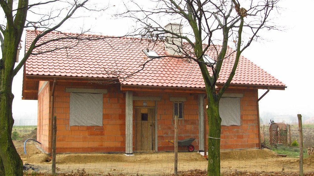 Żabka (5)