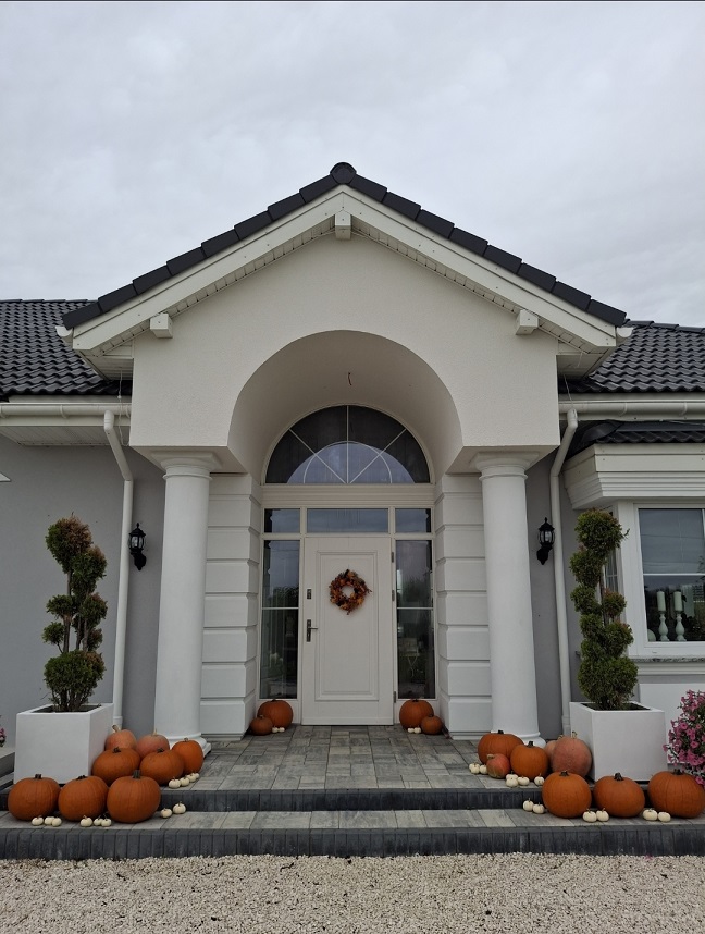 Realizacja domu Willa Parkowa C