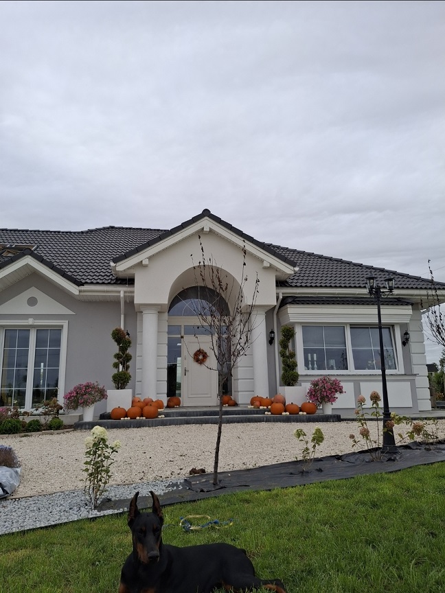 Realizacja domu Willa Parkowa C