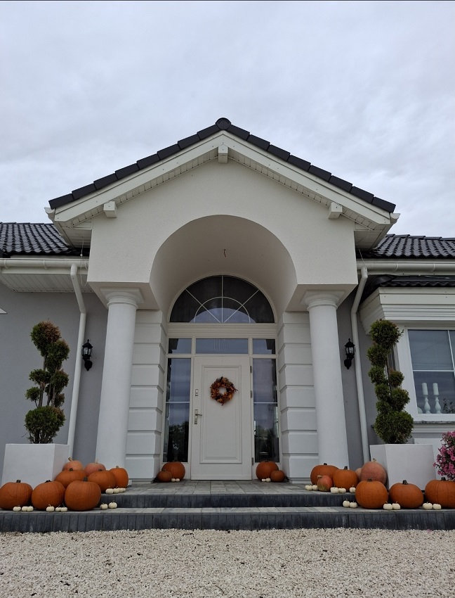 Realizacja domu Willa Parkowa C